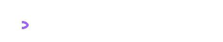 BIREN 壁仞科技